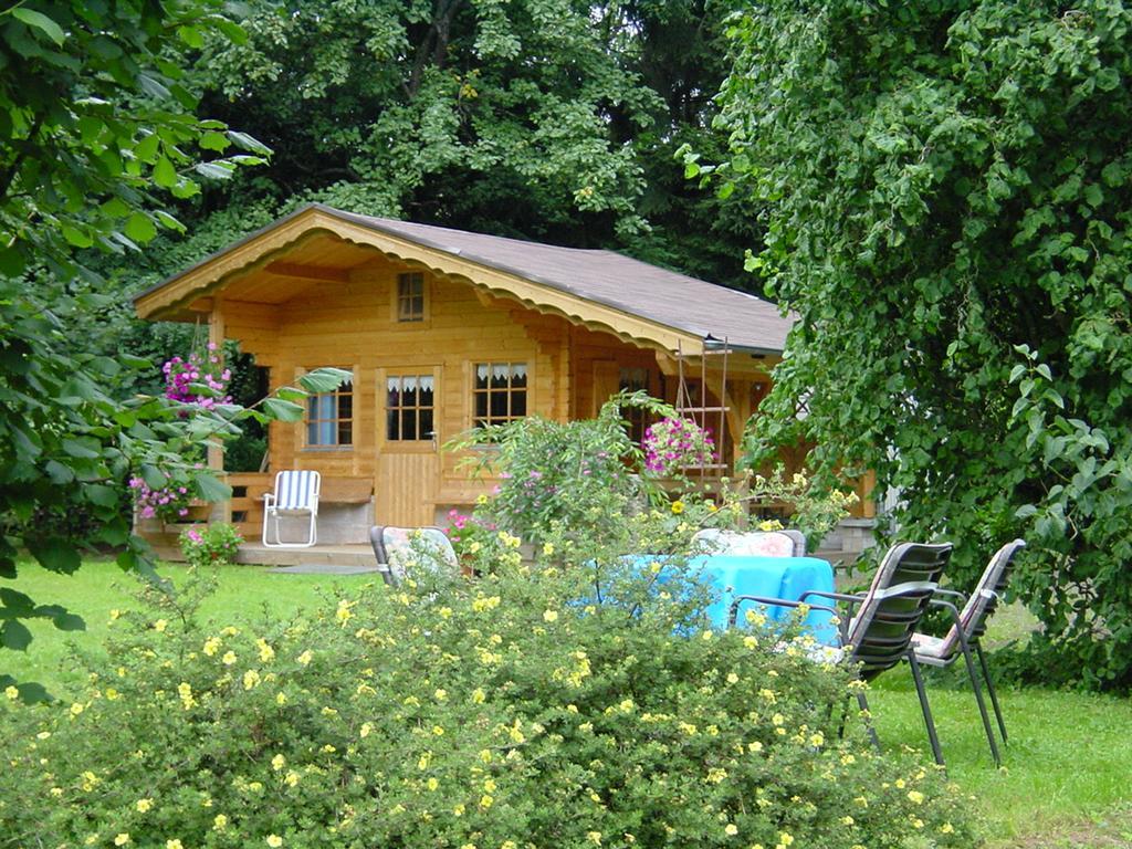 Ferienwohnung Steinebach Daun Dış mekan fotoğraf